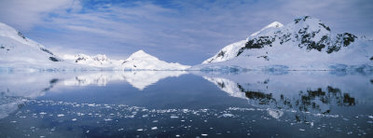 Ice Melting in the Water, Paradise Bay, Antarctica