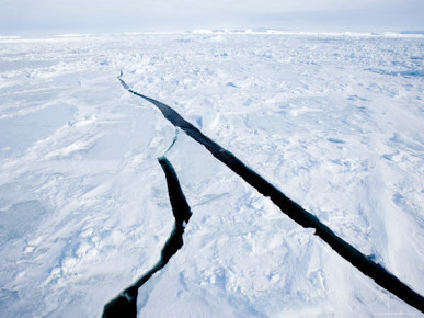 Pack Ice, Weddell Sea, Antarctic Peninsula, Antarctica, Polar Regions